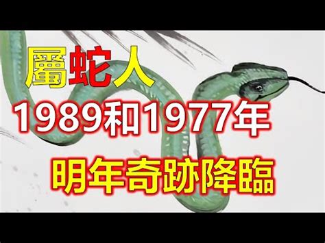 1989 蛇 五行|1989年的屬蛇人是什麼命？什麼年齡開始享福？特別准！